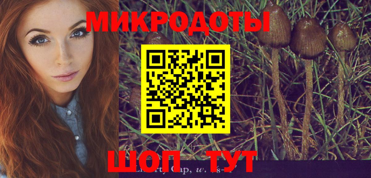 Славянск-на-Кубани  Галлюциногенные грибы Psilocybine cubensis  Вход с VPN 