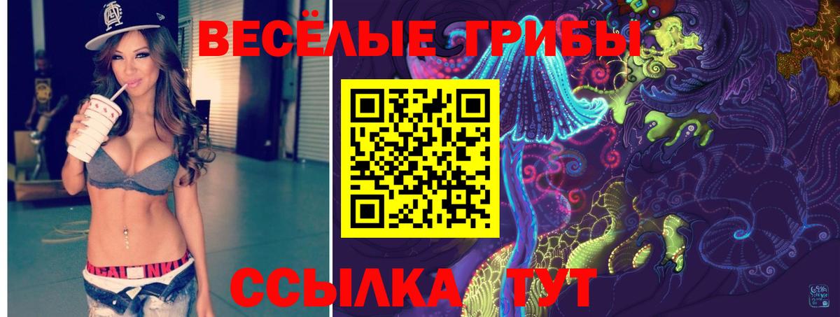 Галлюциногенные грибы GOLDEN TEACHER Славянск-на-Кубани